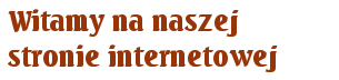 Witamy na naszej stronie internetowej